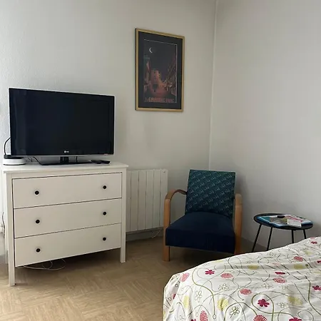 Proche Gare 公寓 *